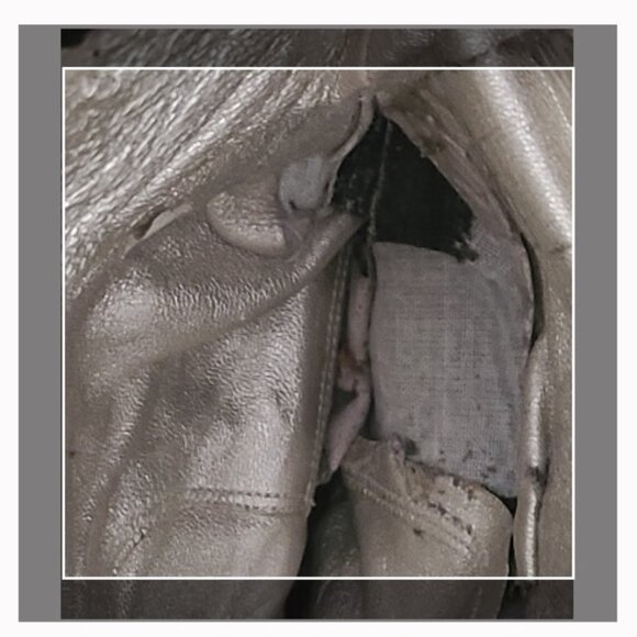 Authentic Dolce & Gabbana Tall Knee High Riding Style Boots - Picture 16 of 16